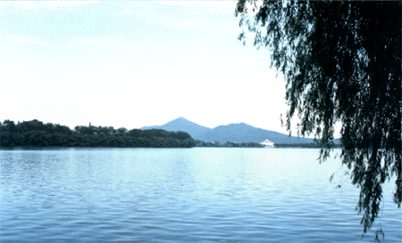 �Ͼ��������԰