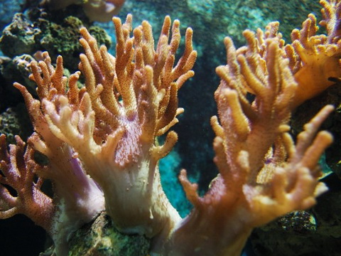 �������籴��ɺ����