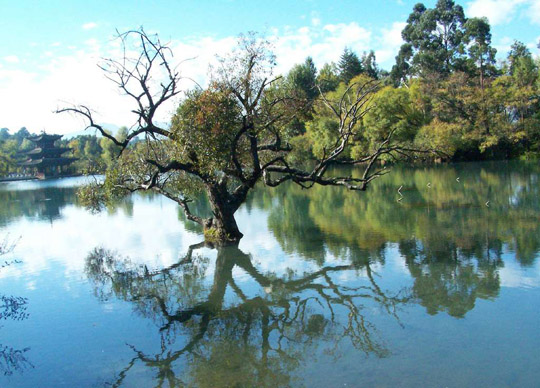 �����ķ������