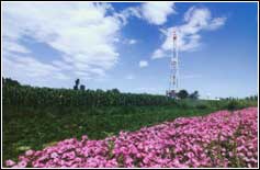 ��������������