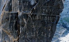 ��������һ����