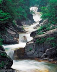 ����Ͽ����