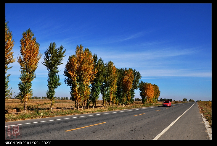 ��Ⱦ�����׶�