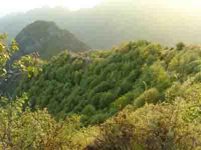 ����̫��ɽ