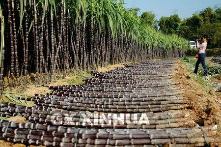 ���ֹ���