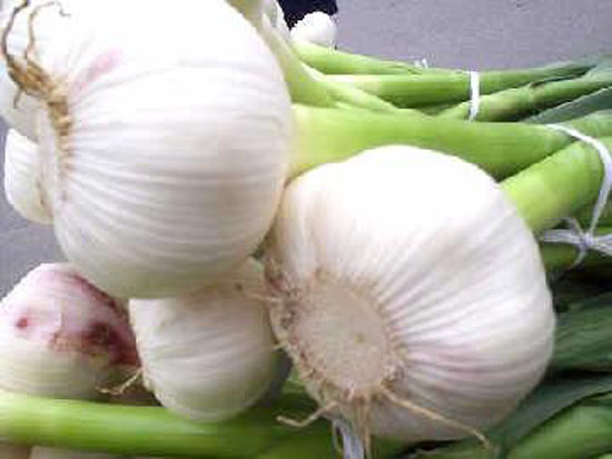 ���۸��ֹ�����