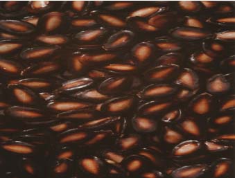 ƽ���������ʺڹ��ӡ���ƽ���ڹ���