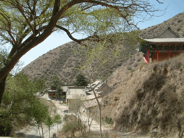 ƽ���ľ�������ɽ